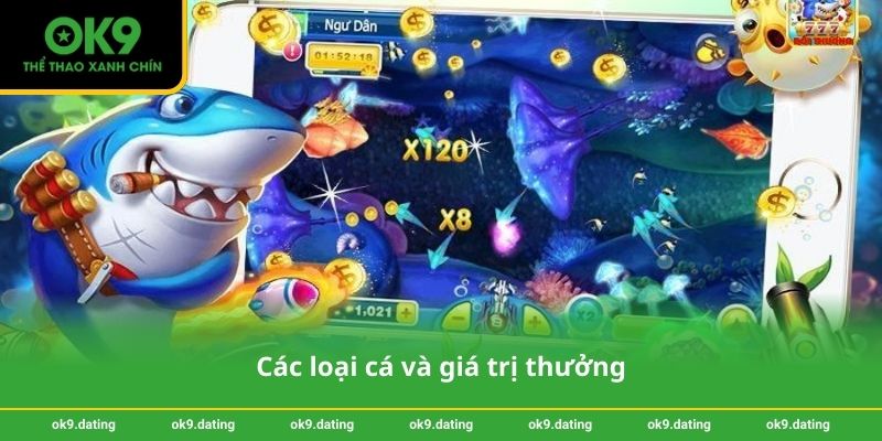 Các loại cá và giá trị thưởng